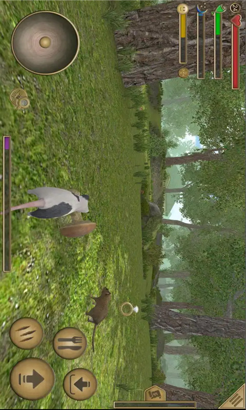 老鼠模拟生存(1)