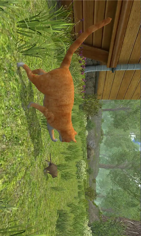 老鼠模拟生存(2)