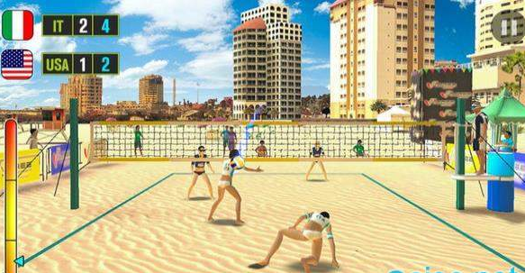 沙滩排球世界冠军(4)