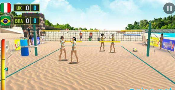 沙滩排球世界冠军(3)