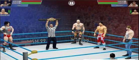 皇家摔跤格斗(3)