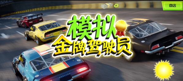 模拟金牌驾驶员(4)