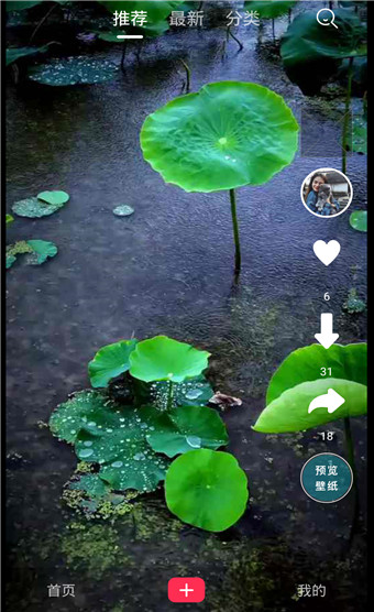 一张动态壁纸(3)