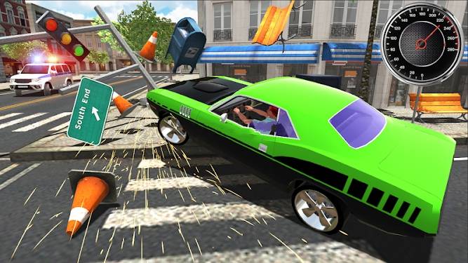 RealGirlCrimeSimulator(3)