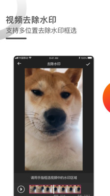 视频去水印专家(2)