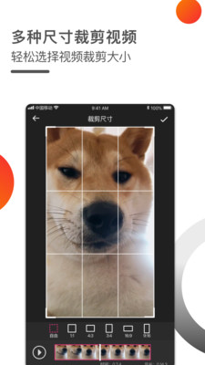 视频去水印专家(3)
