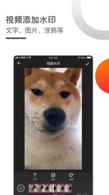 视频去水印专家(4)