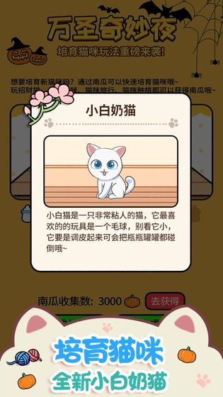 猫咪公寓(1)
