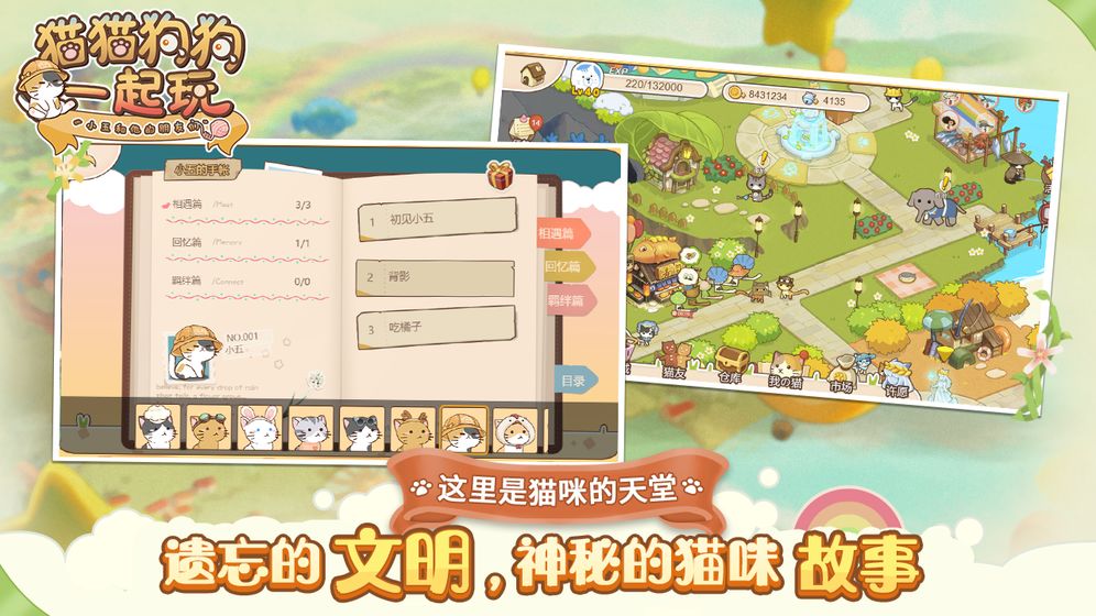 猫猫狗狗一起玩(2)