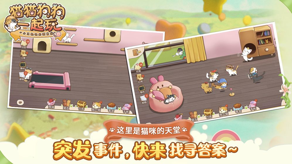 猫猫狗狗一起玩(1)