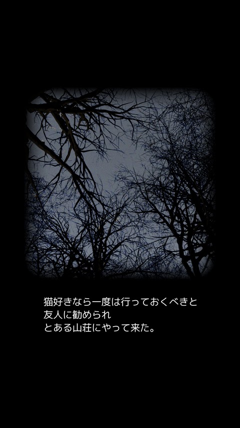 从猫咪大人的山林小屋中逃出(3)