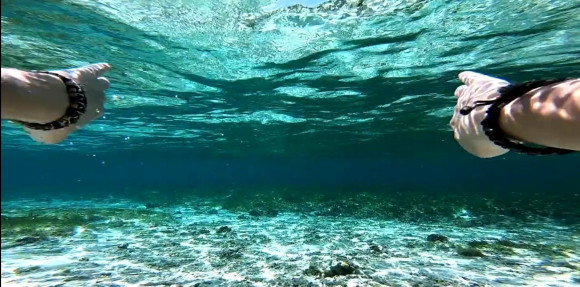 通缉者游戏汉化版(4)