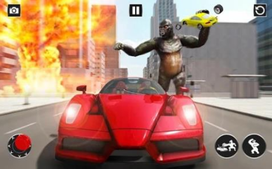 金刚横冲直撞(3)