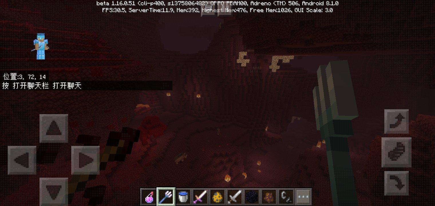 我的世界1.16.0.51(6)