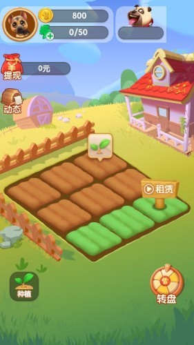 转转农场(4)