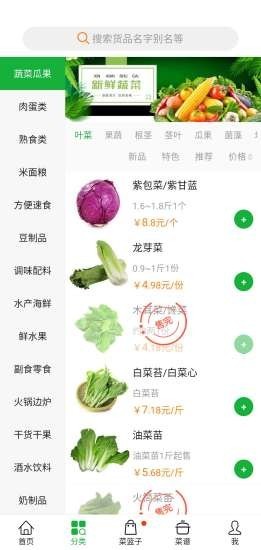 开心菜鸟(2)