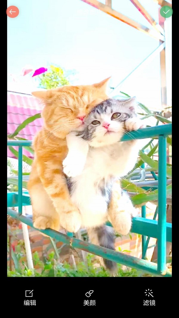 安果美颜相机(1)